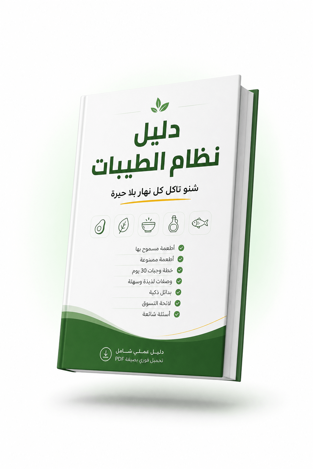 موكاب ثلاثي الأبعاد لدليل نظام الطيبات